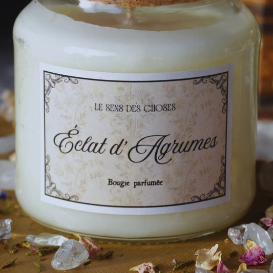 Bougie parfumée artisanale Éclat d’agrumes – Création artisanale | Le sens des choses – Boutique de bougies parfumées végétales, décorations et savons