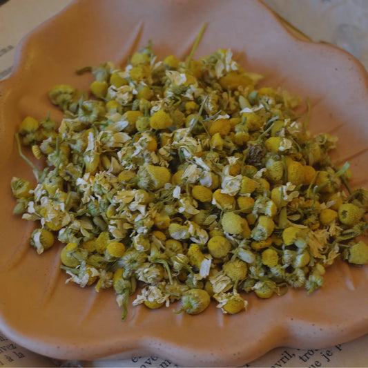 Fleurs de camomille matricaire séchées (Matricaria Recutita) – Création artisanale | Le sens des choses – Boutique de bougies parfumées végétales, décorations et savons