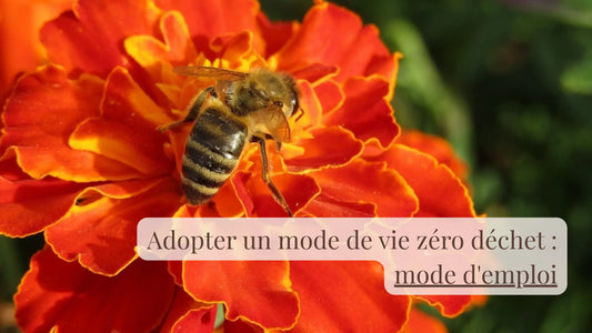 Adopter un mode de vie zéro déchet : mode d'emploi | Blog Rituels et inspirations slow life | Le sens des choses – Artisanat français éthique et bien-être