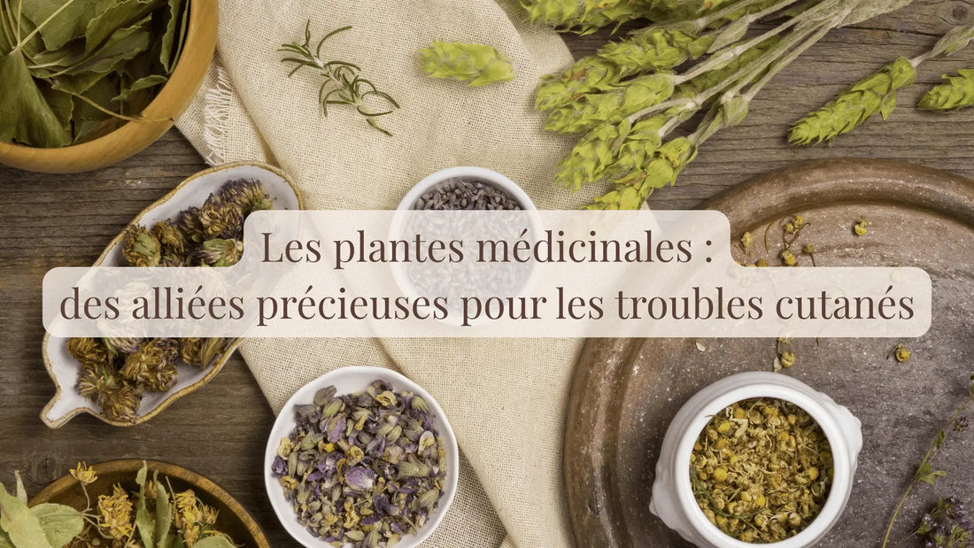 Les plantes médicinales, des alliées précieuses pour les troubles cutanés | Blog Rituels et inspirations slow life | Le sens des choses – Artisanat français éthique et bien-être