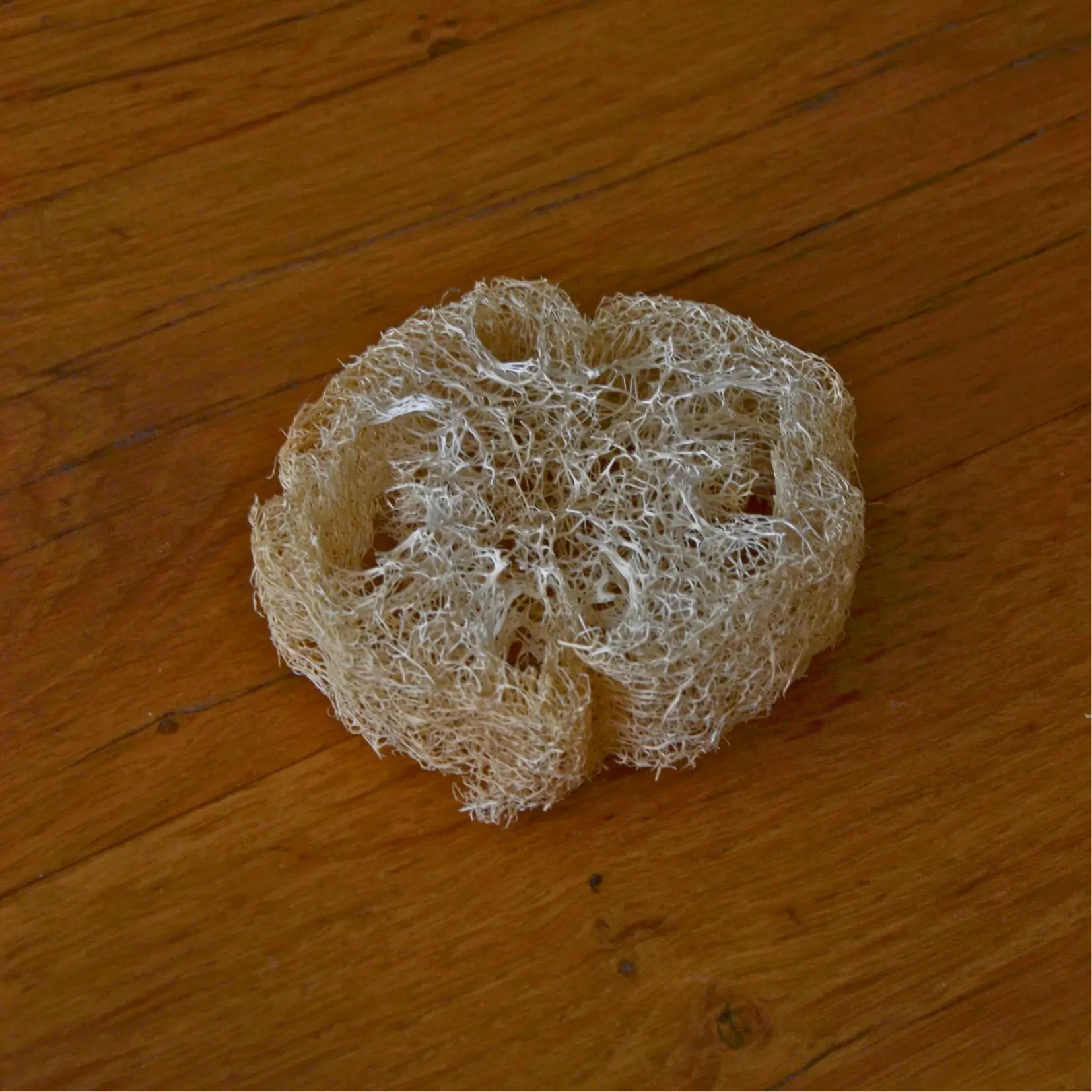 Éponge loofah naturelle biodégradable – Création artisanale | Le sens des choses – Boutique de bougies parfumées végétales et objets décoratifs écoresponsables
