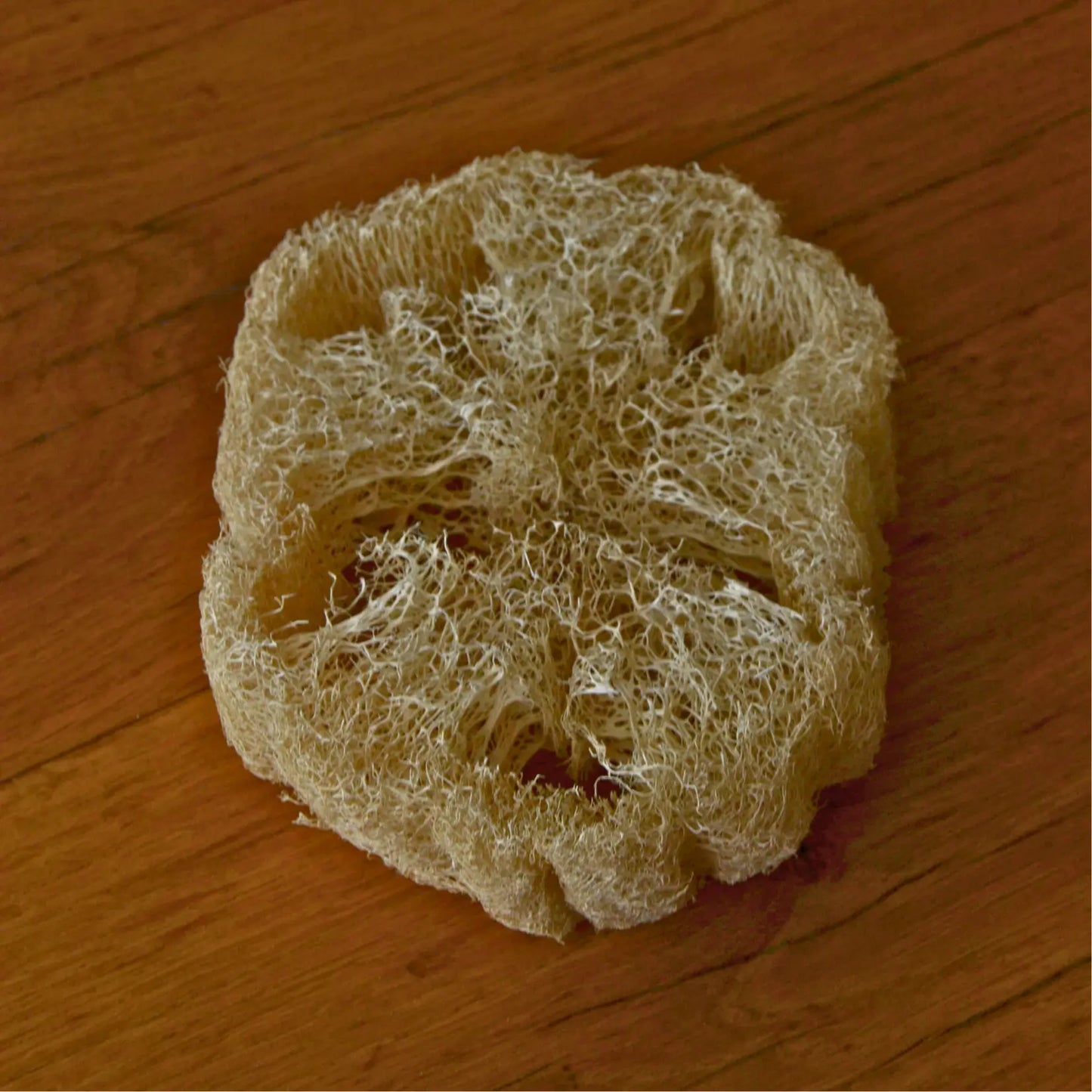 Éponge loofah naturelle biodégradable – Création artisanale | Le sens des choses – Boutique de bougies parfumées végétales et objets décoratifs écoresponsables