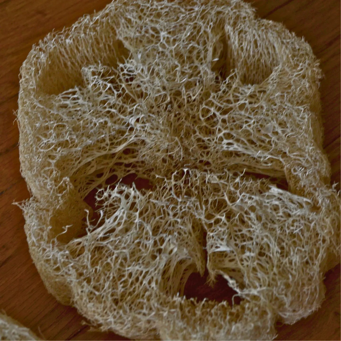 Éponge loofah naturelle biodégradable – Création artisanale | Le sens des choses – Boutique de bougies parfumées végétales et objets décoratifs écoresponsables