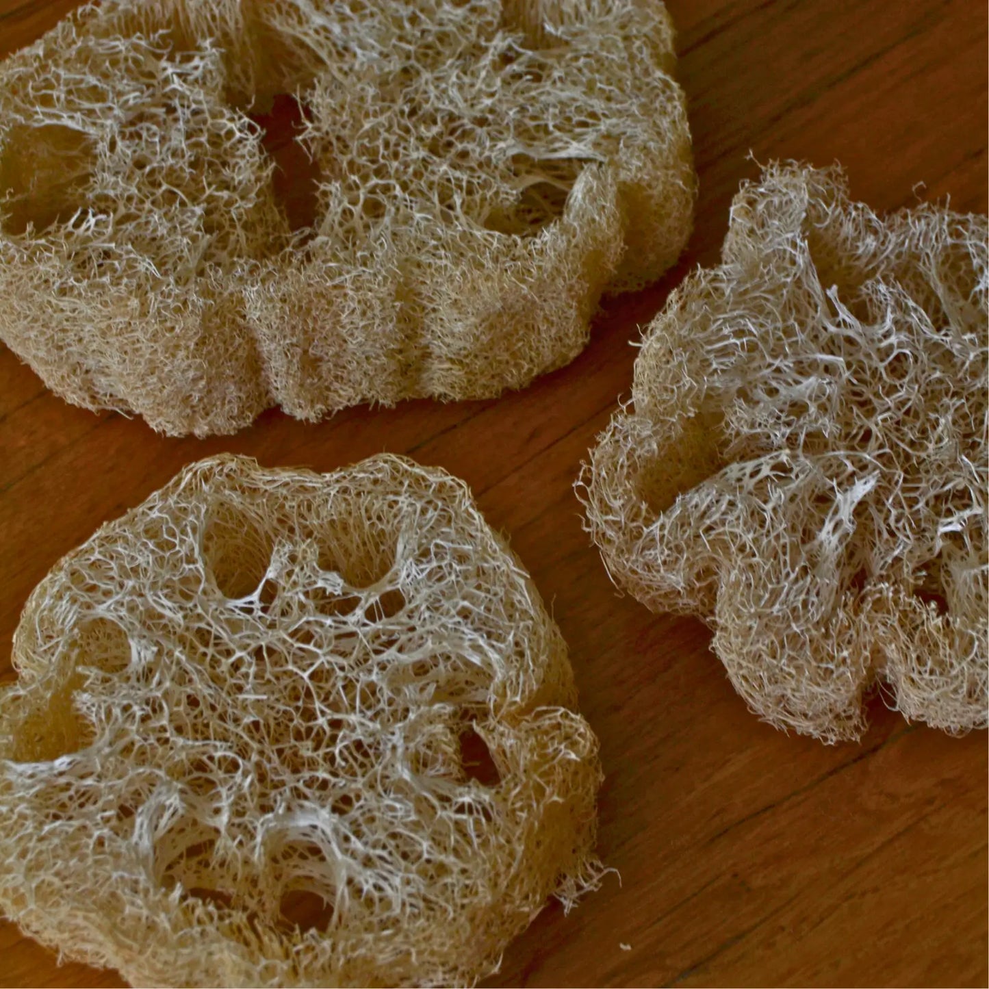 Éponge loofah naturelle biodégradable – Création artisanale | Le sens des choses – Boutique de bougies parfumées végétales et objets décoratifs écoresponsables