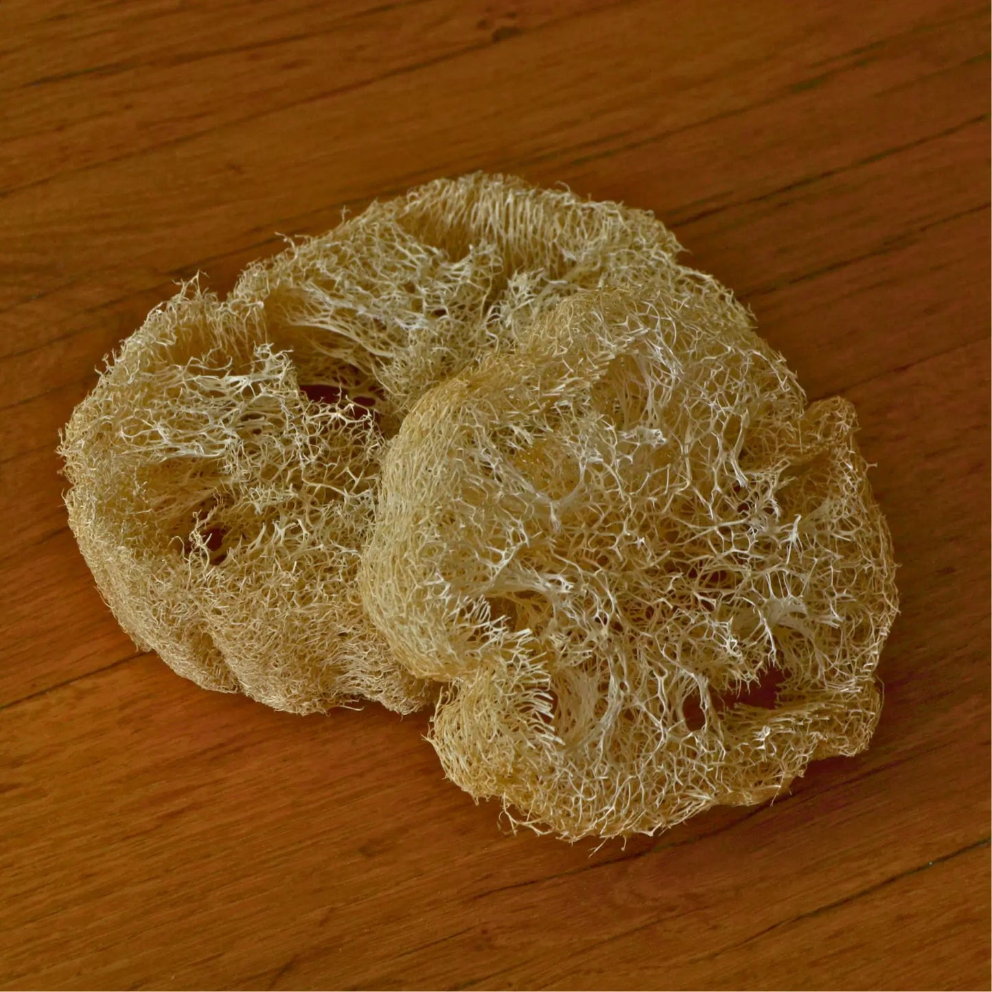 Éponge loofah naturelle biodégradable – Création artisanale | Le sens des choses – Boutique de bougies parfumées végétales et objets décoratifs écoresponsables