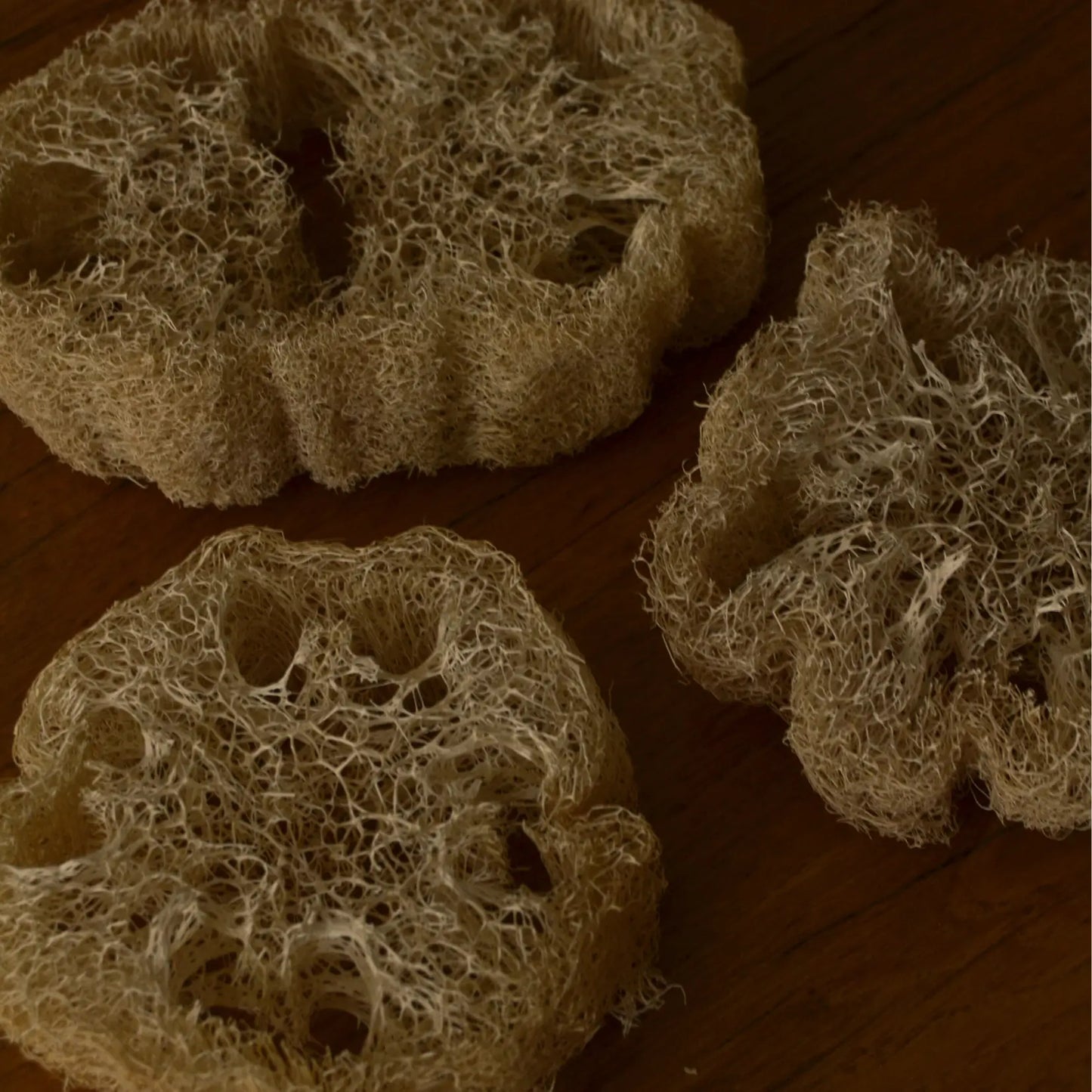 Éponge loofah naturelle biodégradable – Création artisanale | Le sens des choses – Boutique de bougies parfumées végétales, décorations et savons