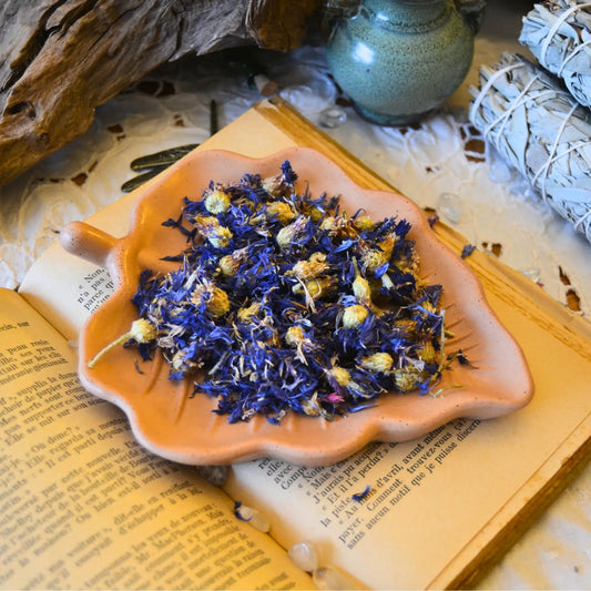 Fleurs de bleuet séchées (Centaurea Cyanus) – Création artisanale | Le sens des choses – Boutique de bougies parfumées végétales et objets décoratifs écoresponsables