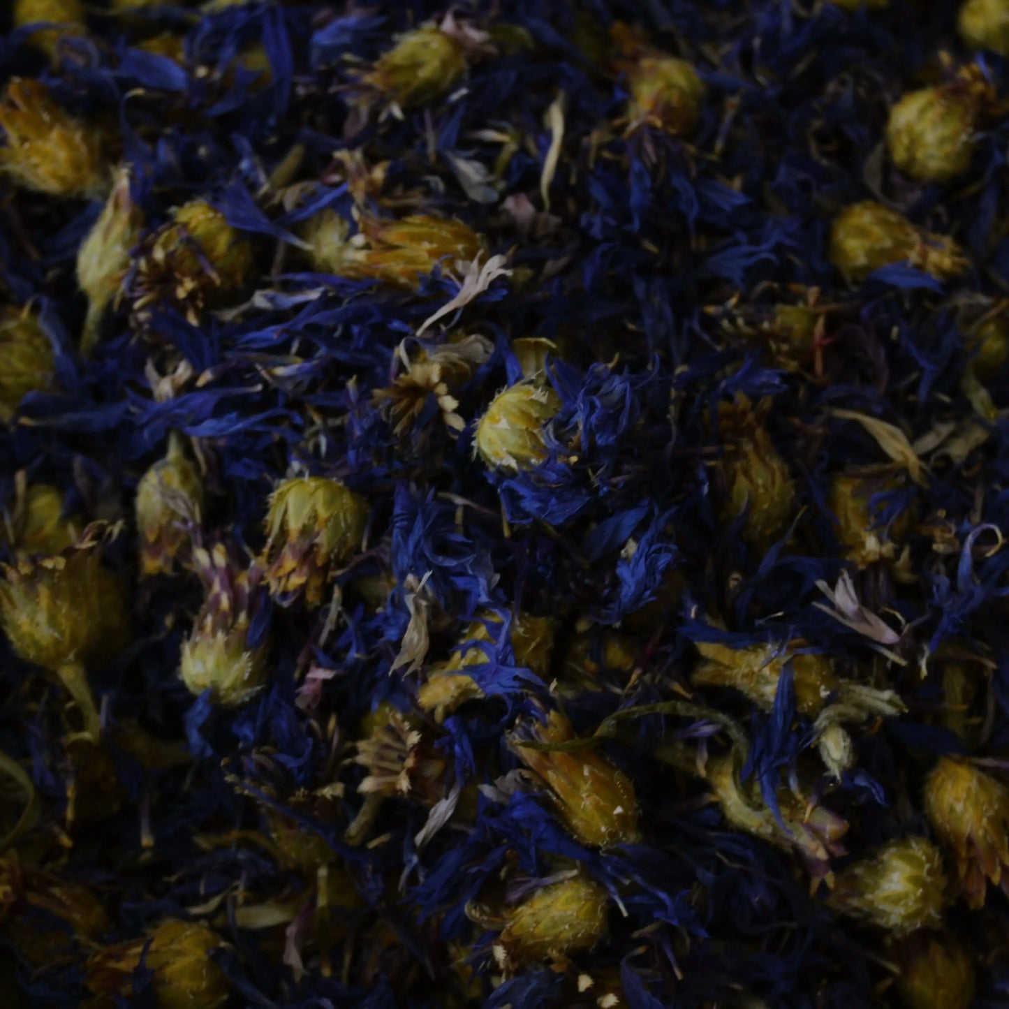 Fleurs de bleuet séchées (Centaurea Cyanus) – Création artisanale | Le sens des choses – Boutique de bougies parfumées végétales et objets décoratifs écoresponsables