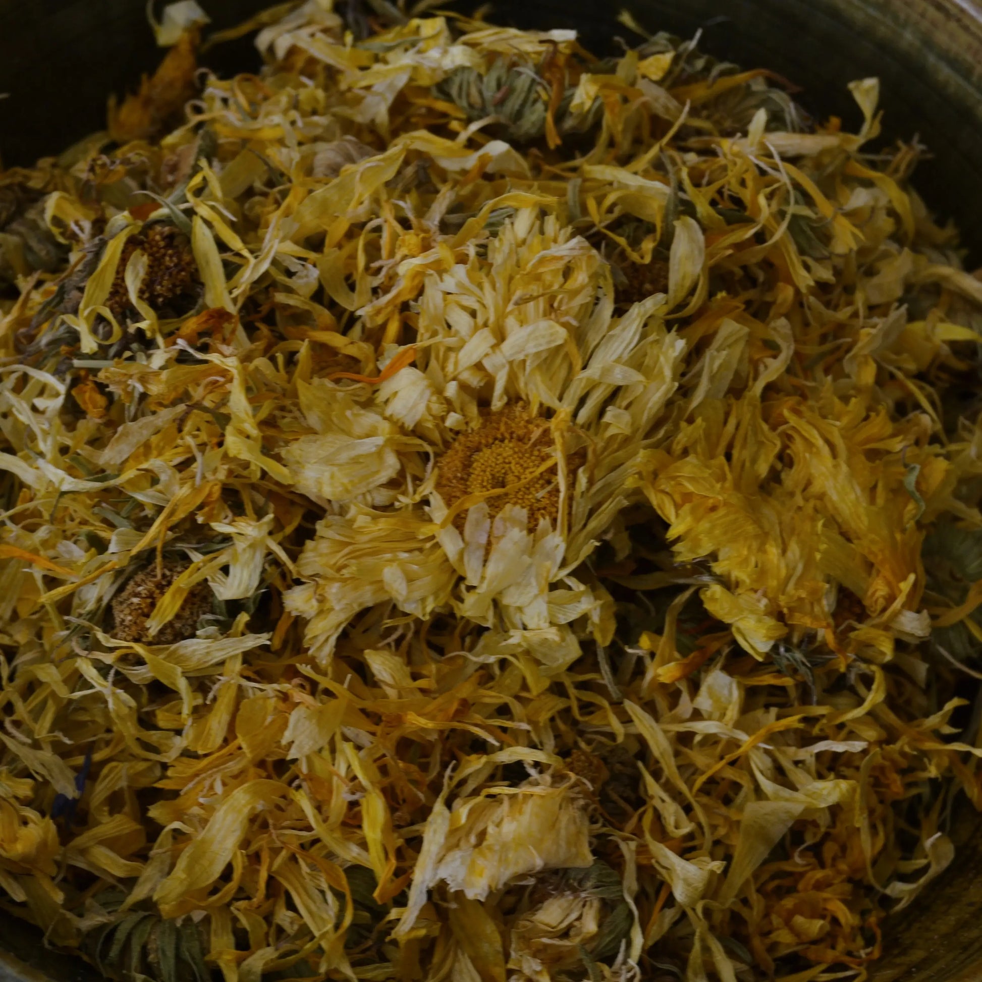 Fleurs de calendula séchées (Calendula Officinalis) – Création artisanale | Le sens des choses – Boutique de bougies parfumées végétales et objets décoratifs écoresponsables