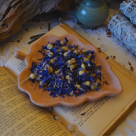 Fleurs de bleuet séchées (Centaurea Cyanus) – Création artisanale | Le sens des choses – Boutique de bougies parfumées végétales, décorations et savons