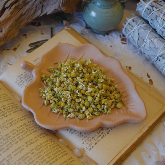 Fleurs de camomille matricaire séchées (Matricaria Recutita) – Création artisanale | Le sens des choses – Boutique de bougies parfumées végétales, décorations et savons