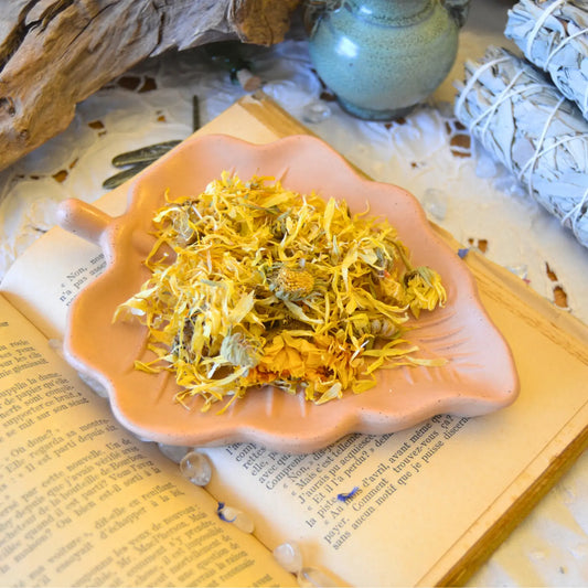 Fleurs de calendula séchées (Calendula Officinalis) – Création artisanale | Le sens des choses – Boutique de bougies parfumées végétales et objets décoratifs écoresponsables