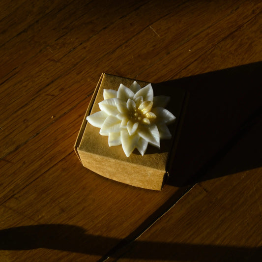 Fondant parfumé à la fleur de coton — Poinsettia – Création artisanale | Le sens des choses – Boutique de bougies parfumées végétales et objets décoratifs écoresponsables