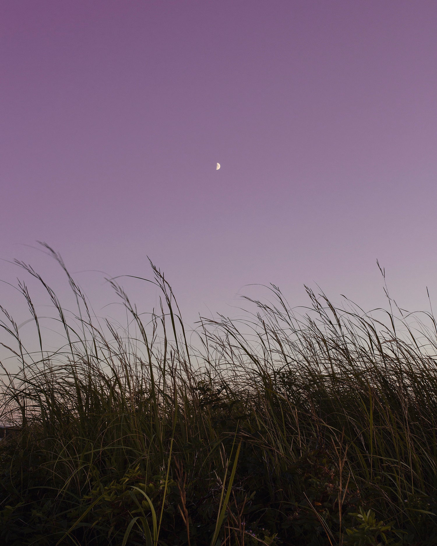 purple-moon | Le sens des choses – Créations artisanales fabriquées en Charente-Maritime